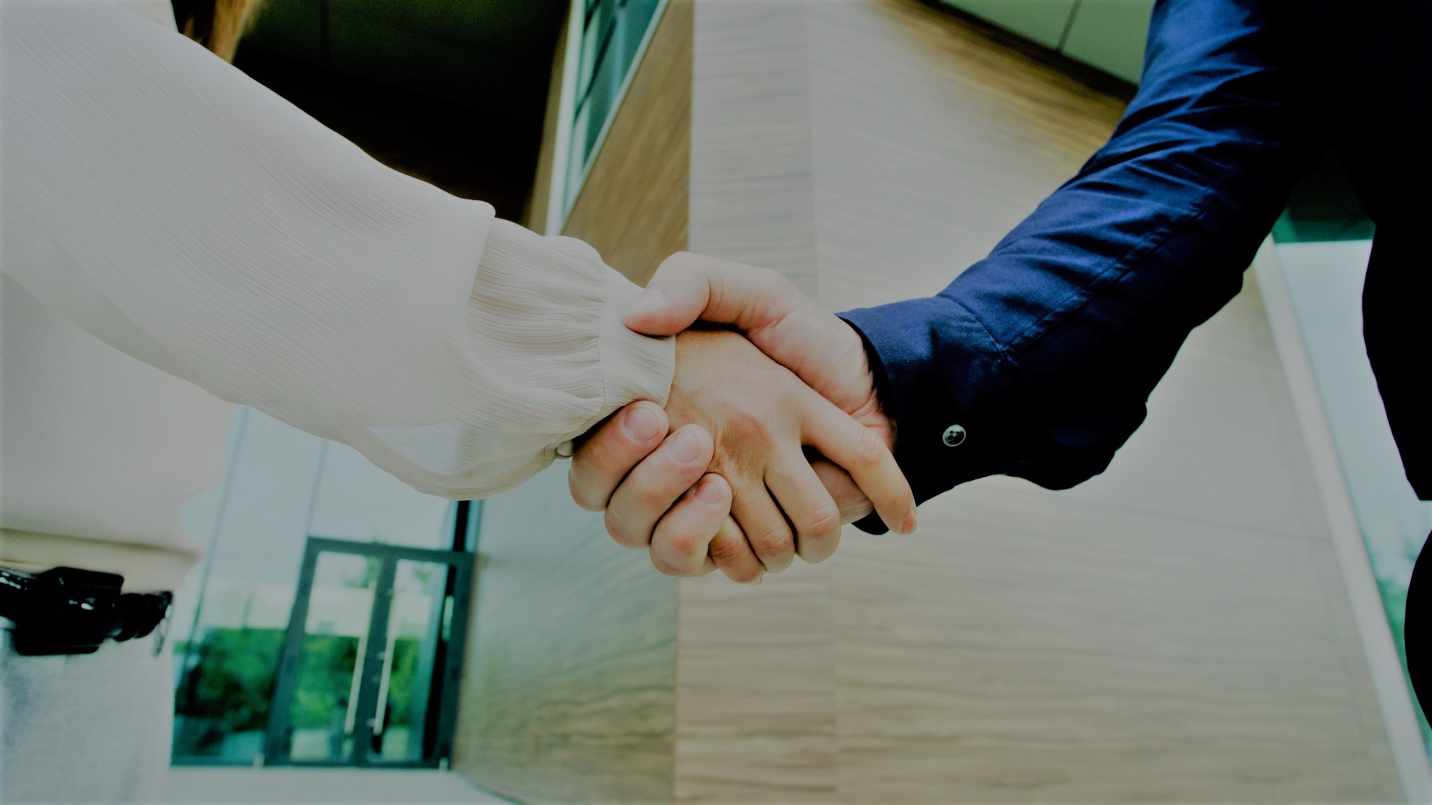 Picture of handshake